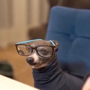 Meet your Posher, Pedro